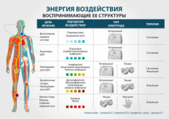 ЧЭНС-01-Скэнар в Дзержинске купить Медицинская техника - denasosteo.ru 