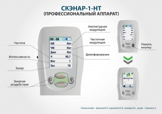 СКЭНАР-1-НТ (исполнение 02.2) Скэнар Оптима в Дзержинске купить Медицинская техника - denasosteo.ru 